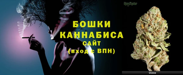 МДПВ Медногорск