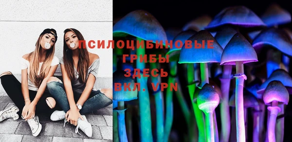 МДПВ Медногорск