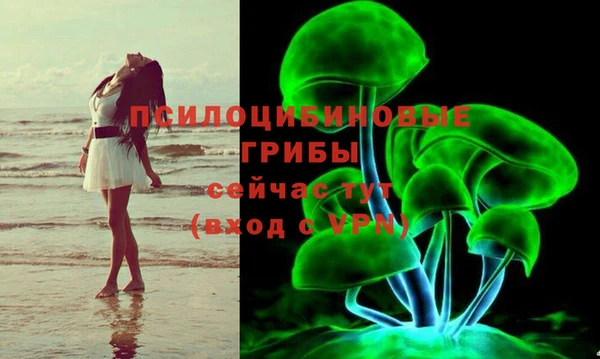 прущие крисы Медвежьегорск