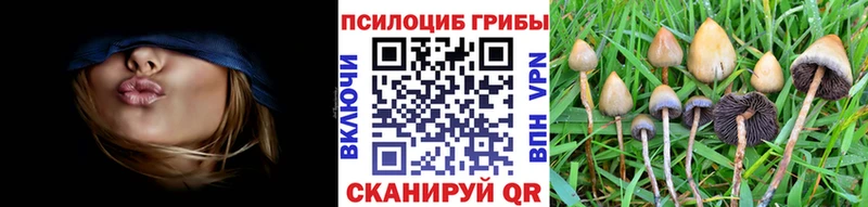 Галлюциногенные грибы ЛСД цена Луга